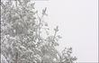 Les joies de la neige
